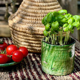 Farid Mug Tamagroute Green