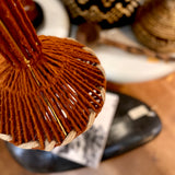 Hanglamp Suspension VIRGO