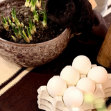 Oeuf Egg Tray